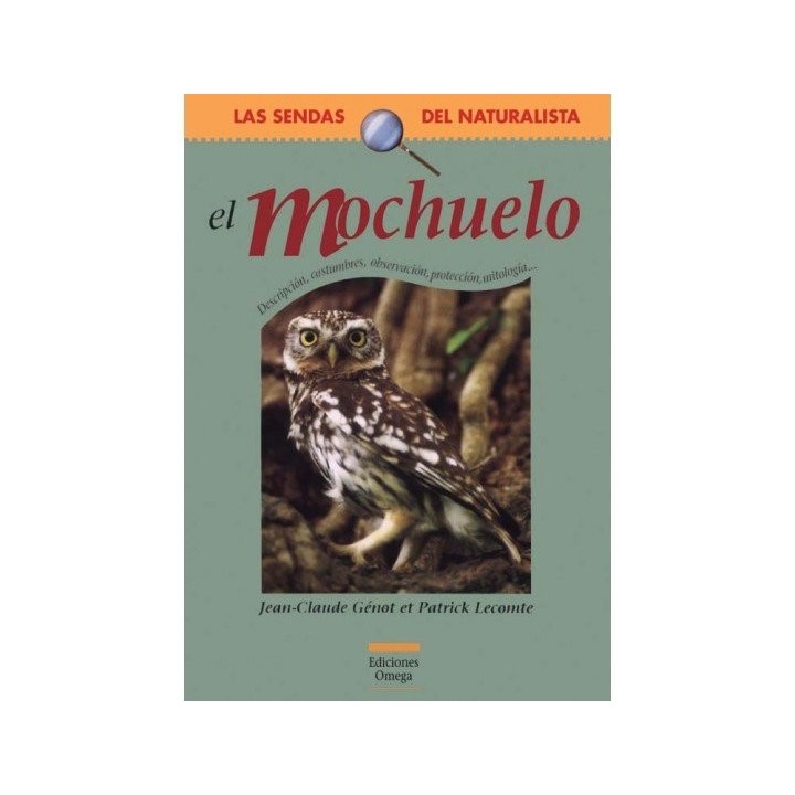 MOCHUELO
