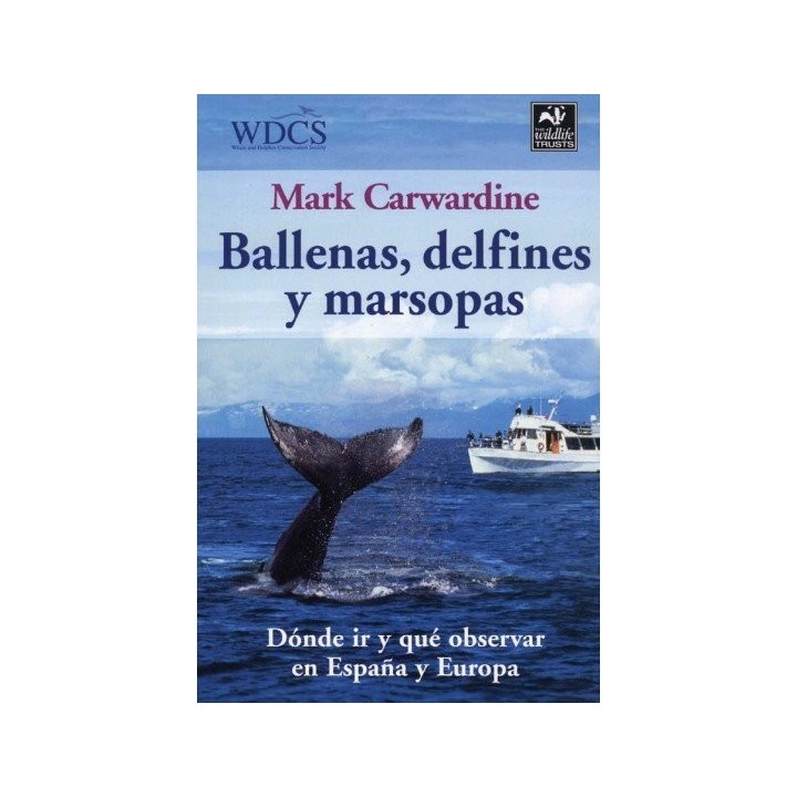 BALLENAS DELFINES MARSOPAS G.IDENTIFICACION NE