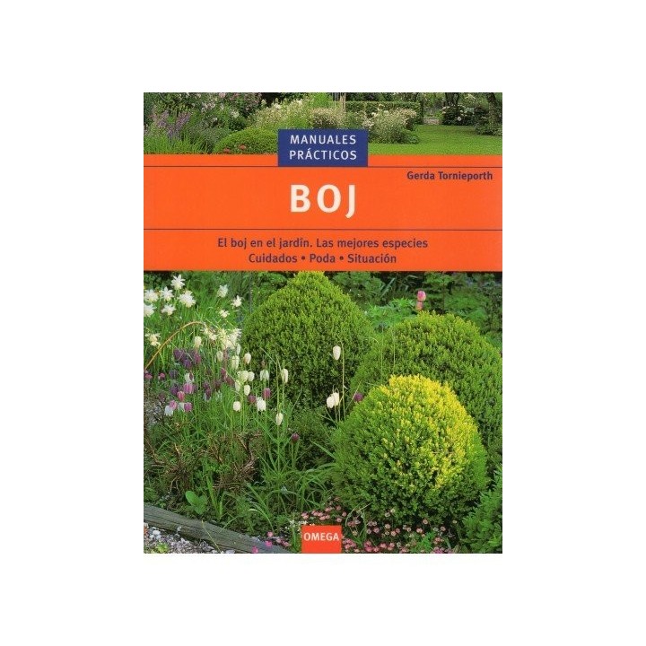 BOJ