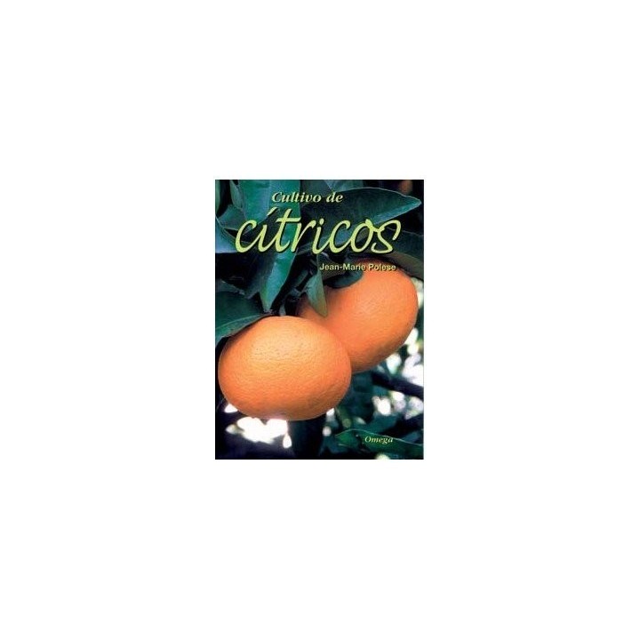 CULTIVO DE CITRICOS