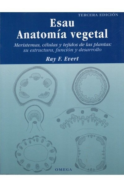 ESAU ANATOMIA VEGETAL 3ªED