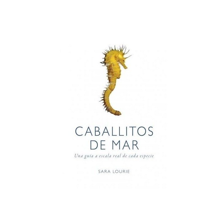 CABALLITOS DE MAR