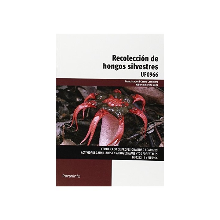RECOLECCION DE HONGOS SILVESTRES