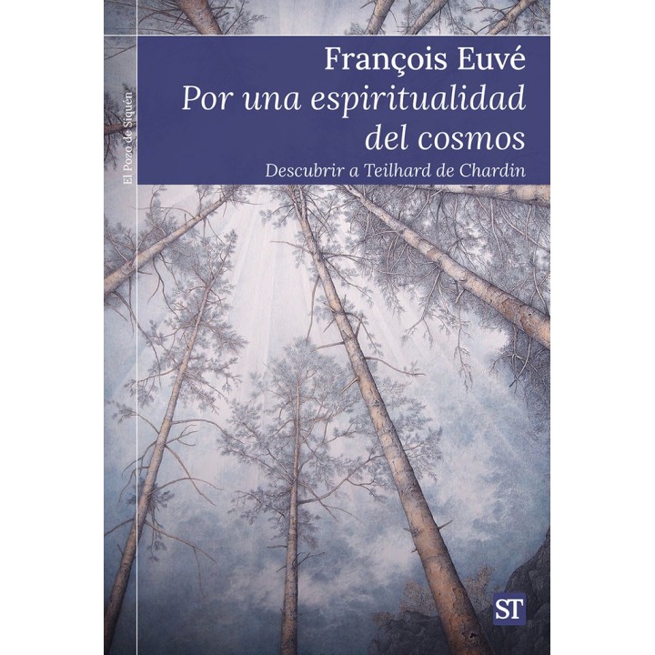 POR UNA ESPIRITUALIDAD DEL COSMOS