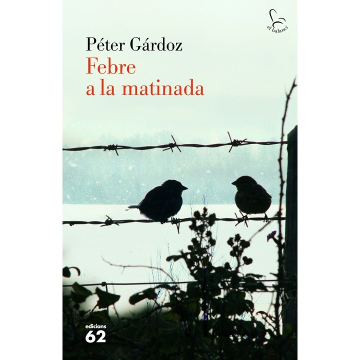 FEBRE A LA MATINADA