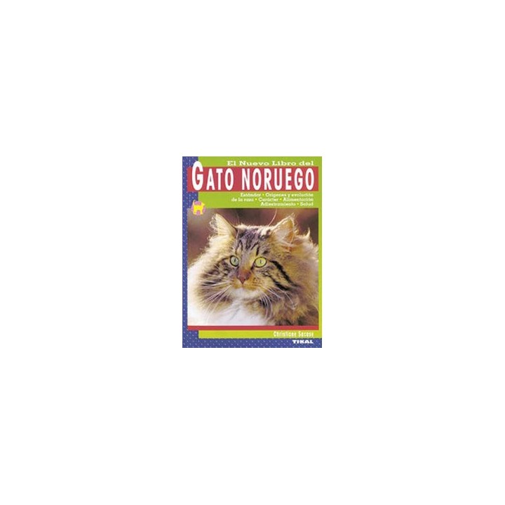 GATO NORUEGO