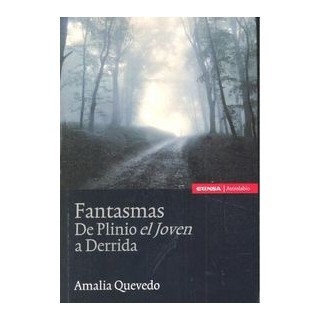 FANTASMAS DE PLINIO EL JOVEN A DERRIDA