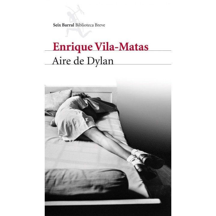 AIRE DE DYLAN