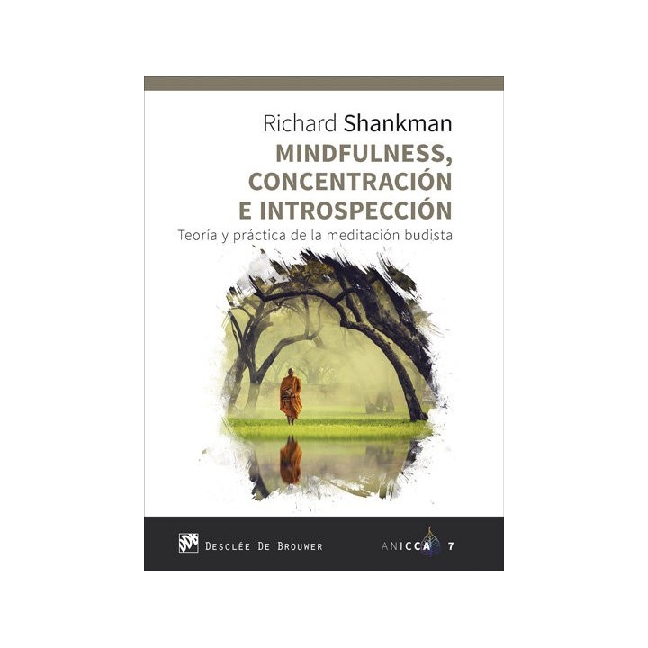 MINDFULNESS, CONCENTRACION E INTROSPECCION. TEORIA Y PRACTIC