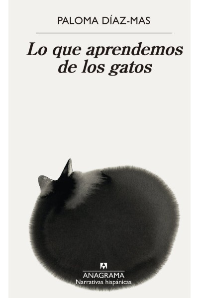 LO QUE APRENDEMOS DE LOS GATOS