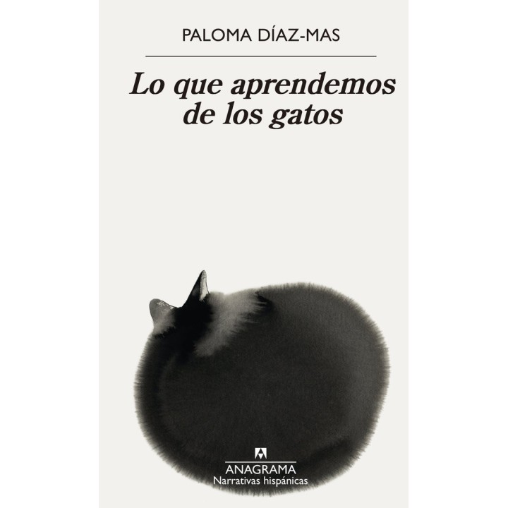 LO QUE APRENDEMOS DE LOS GATOS
