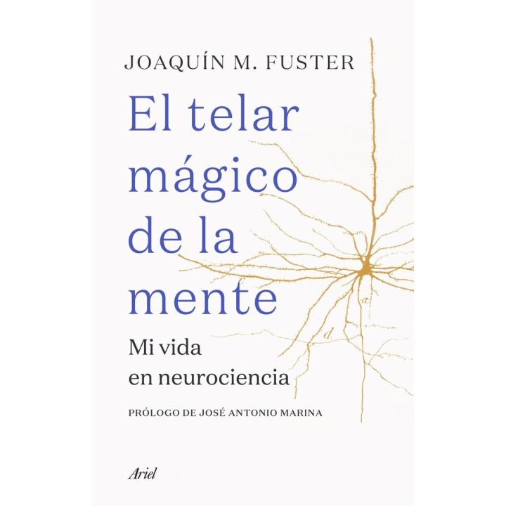 TELAR MAGICO DE LA MENTE,EL
