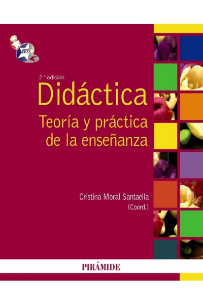 DIDACTICA TEORIA Y PRACTICA DE LA ENSEÑANZA