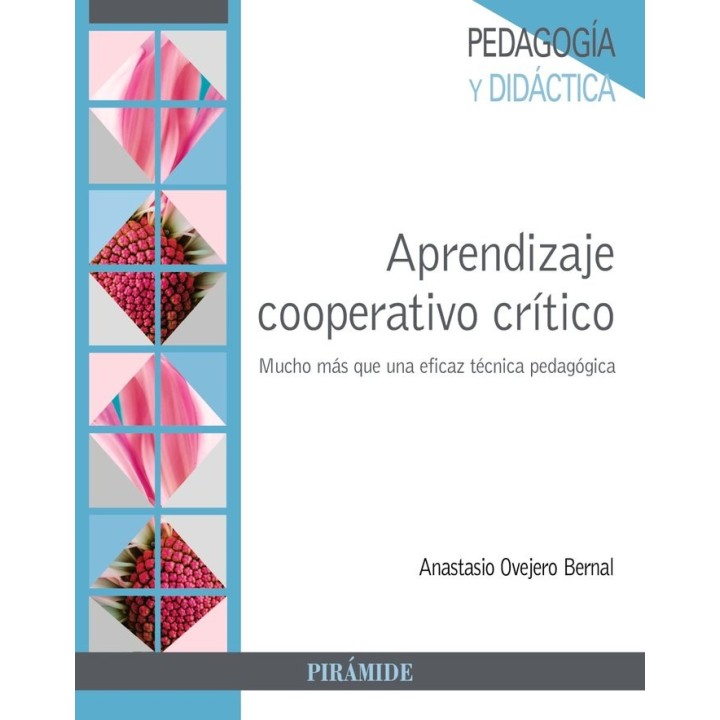 APRENDIZAJE COOPERATIVO CRITICO