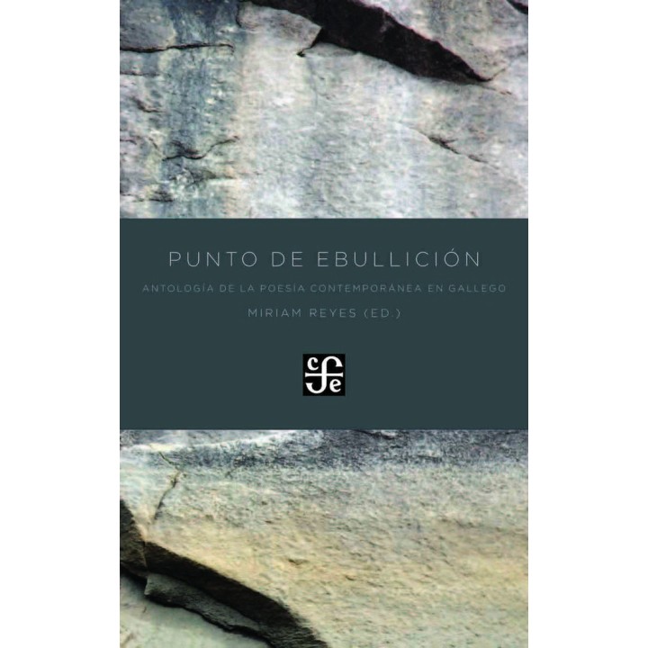 PUNTO DE EBULLICION