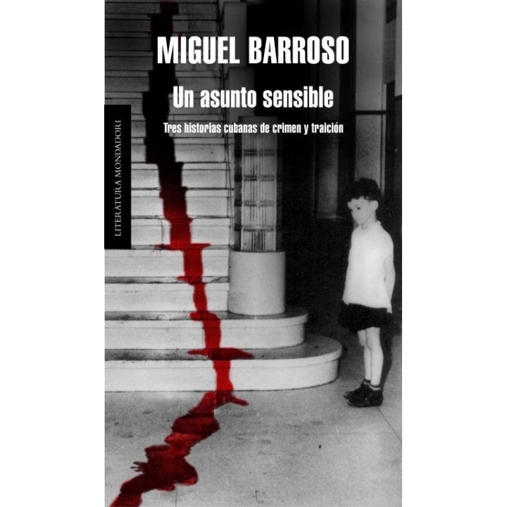 UN ASUNTO SENSIBLE