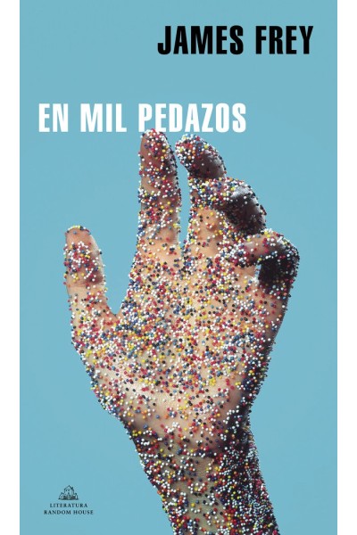 EN MIL PEDAZOS