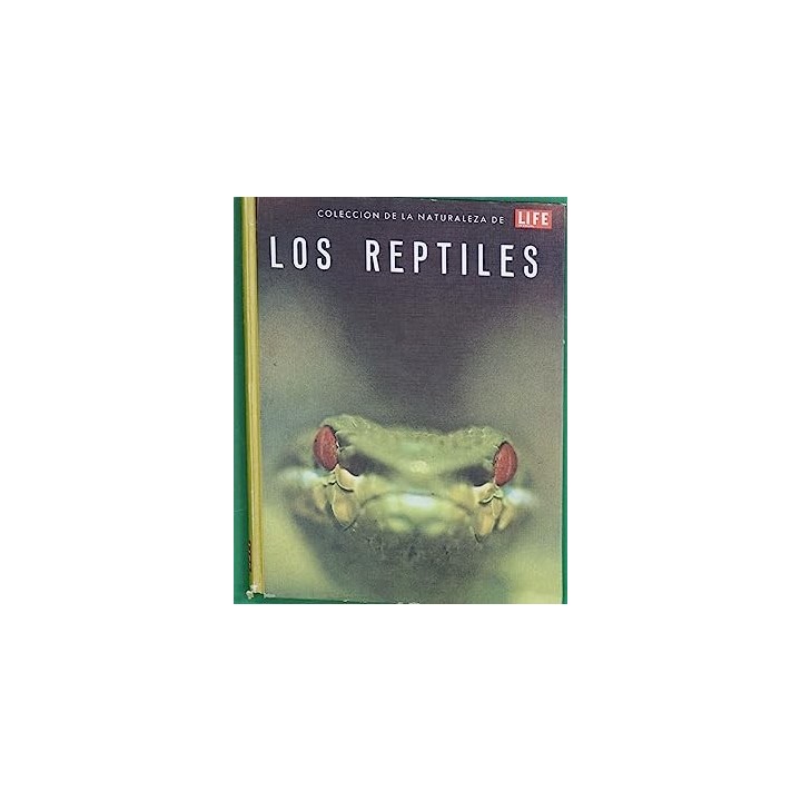 Los reptiles