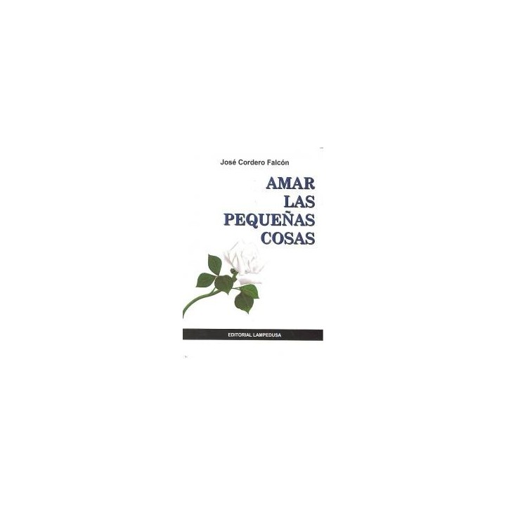 AMAR LAS PEQUEÑAS COSAS