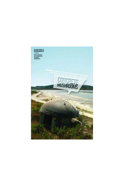 CONCRETE MUSHROOMS