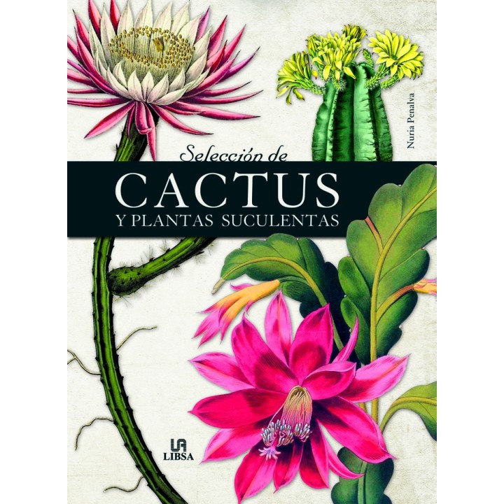 SELECCION DE CACTUS Y PLANTAS SUCULENTAS