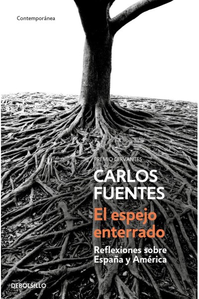 ESPEJO ENTERRADO,EL
