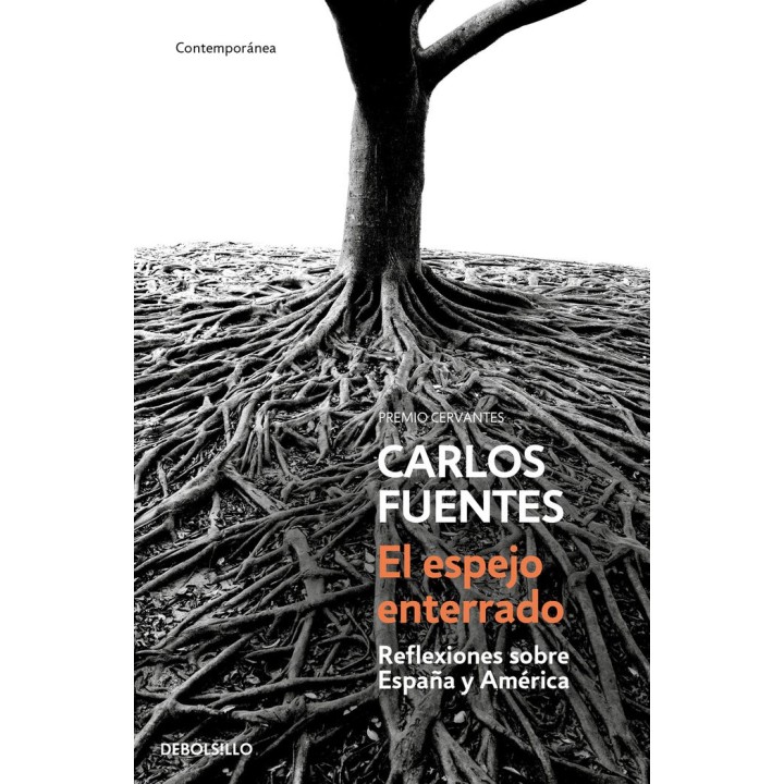 ESPEJO ENTERRADO,EL