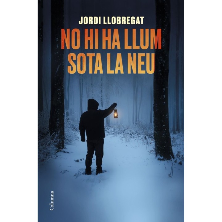 NO HI HA LLUM SOTA LA NEU