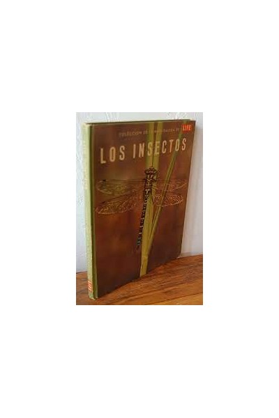 LOS INSECTOS
