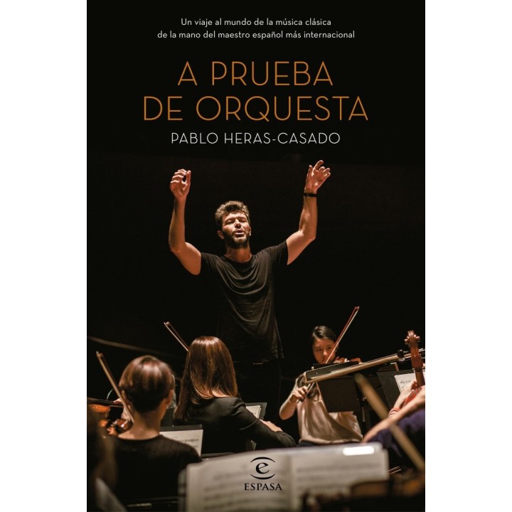 MUSICA PARA NO ENTENDIDO
