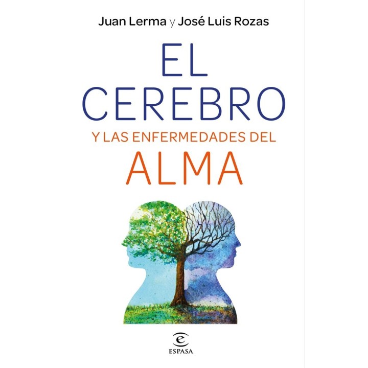 EL CEREBRO Y LAS ENFERMEDADES DEL ALMA