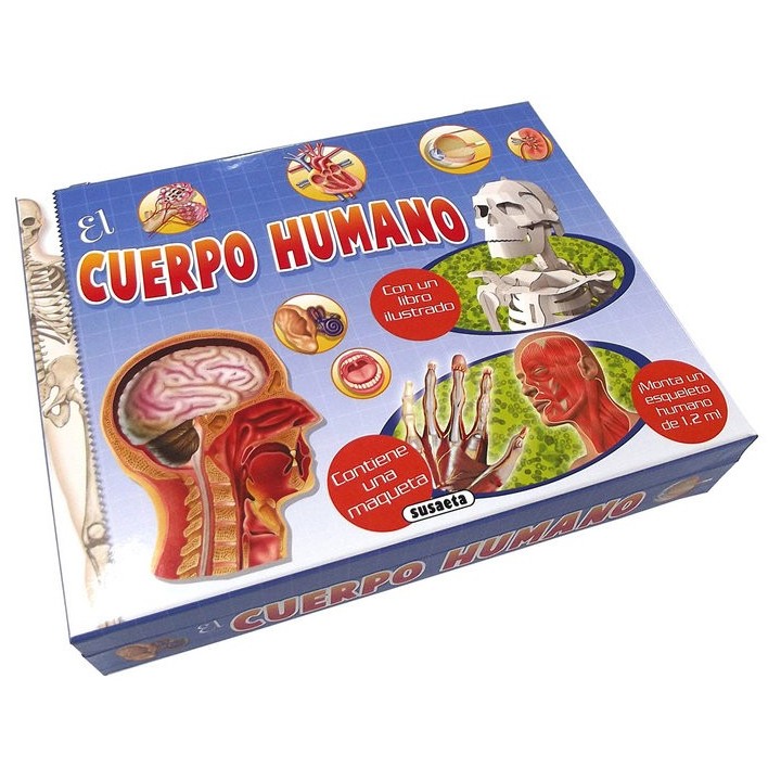 CUERPO HUMANO,EL