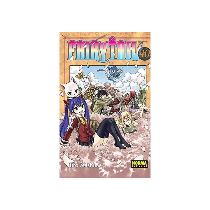 FAIRY TAIL 40