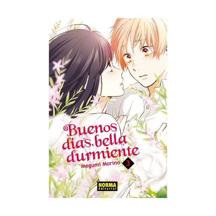 BUENOS DIAS BELLA DURMIENTE 3