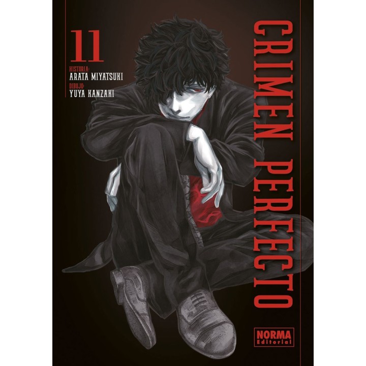 CRIMEN PERFECTO 11