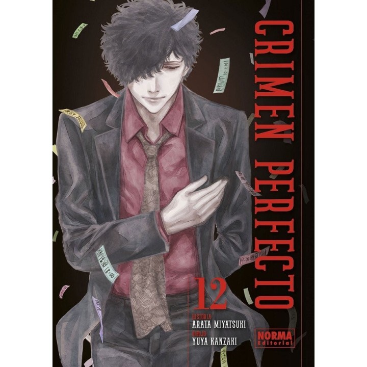 CRIMEN PERFECTO 12
