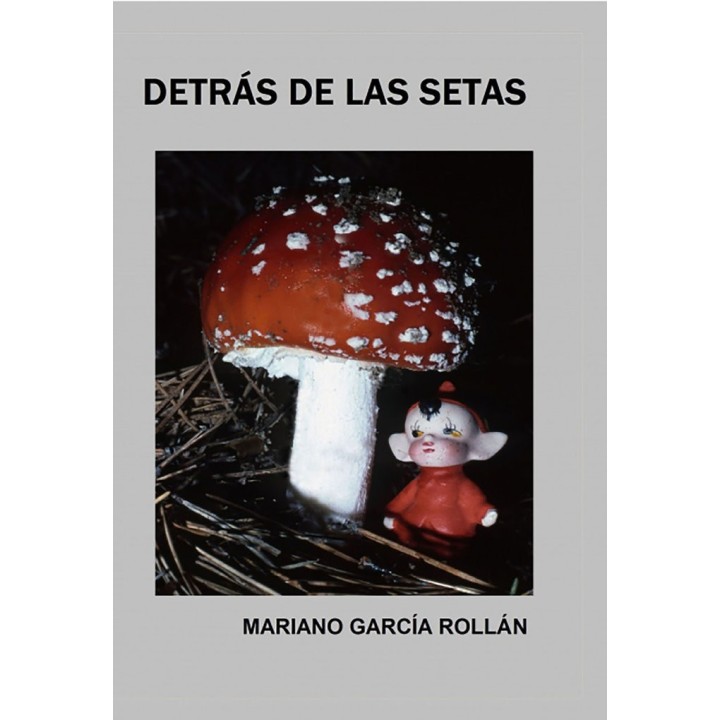 DETRAS DE LAS SETAS