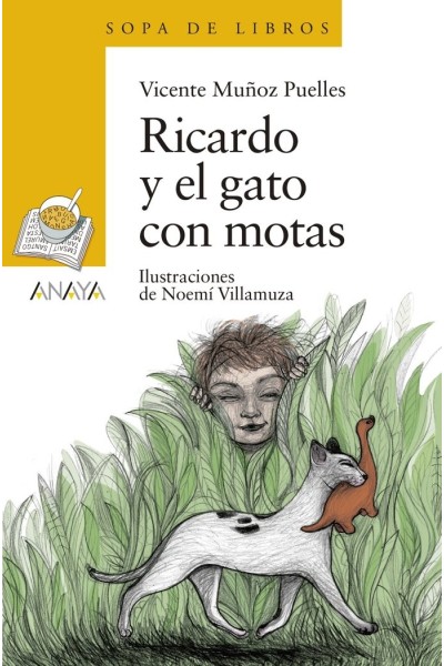 RICARDO Y EL GATO CON MOTAS
