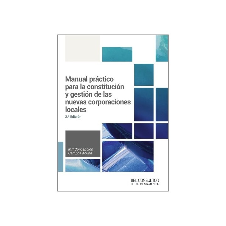 MANUAL PRACTICO PARA LA CONSTITUCION Y GESTION DE LAS NUEVAS