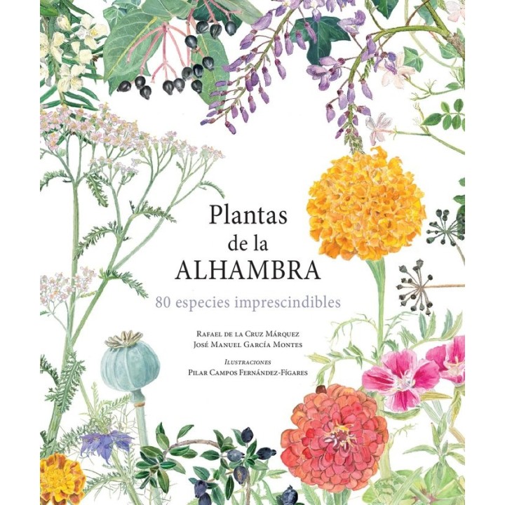 PLANTAS DE LA ALHAMBRA