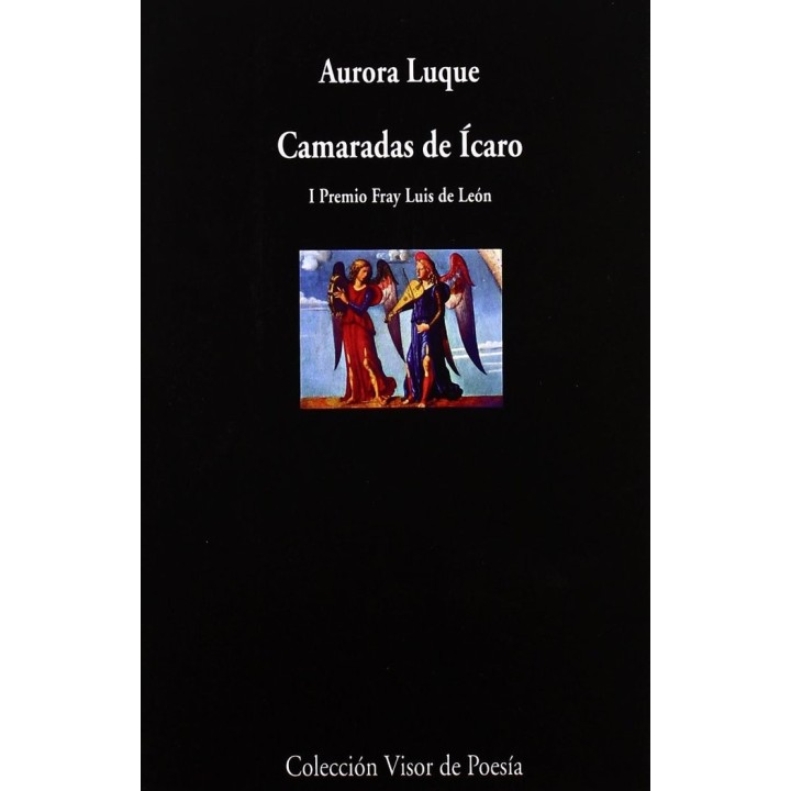 CAMARADAS DE ICARO