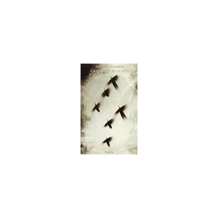 CAMINO EN EL AIRE,UN -E.R.M.