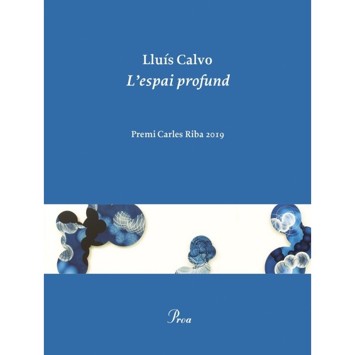 L'ESPAI PROFUND PREMI CARLES RIBA 2020