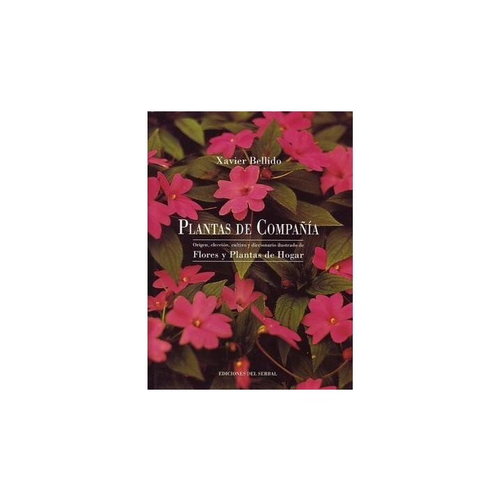 PLANTAS DE COMPAÑIA