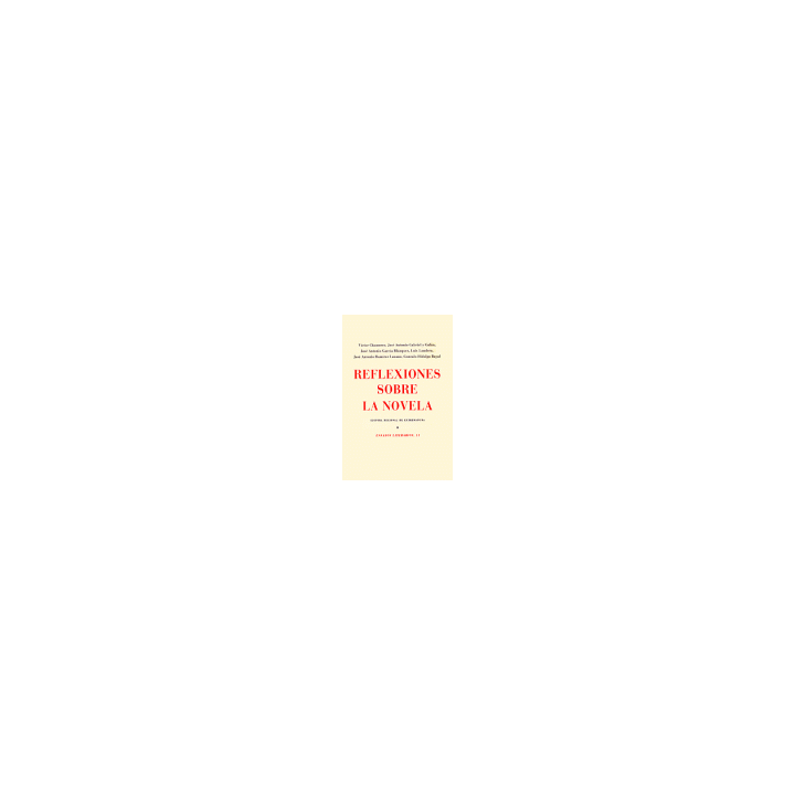REFLEXIONES SOBRE LA NOVELA