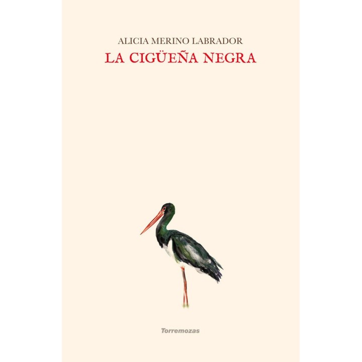 LA CIGÜEÑA NEGRA