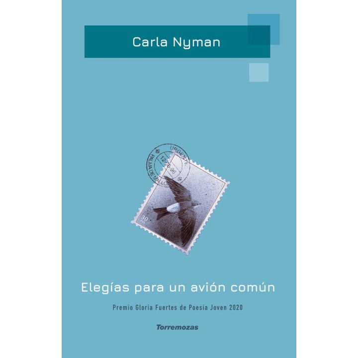 ELEGIAS PARA UN AVION COMUN