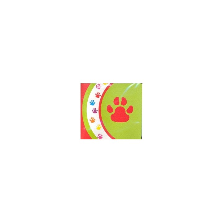 CUENTO ESPUMA ANIMALES