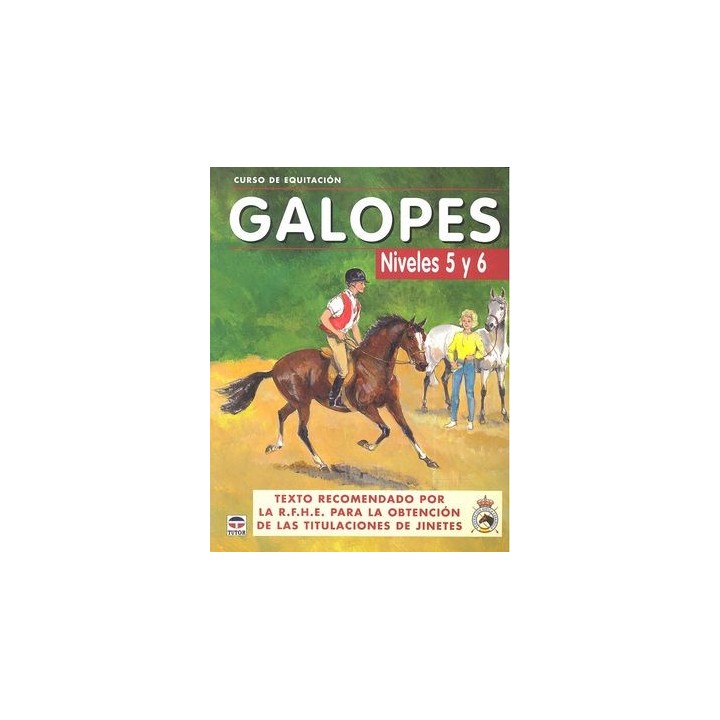 GALOPES NIVELES 5 Y 6 CURSO EQUITACION