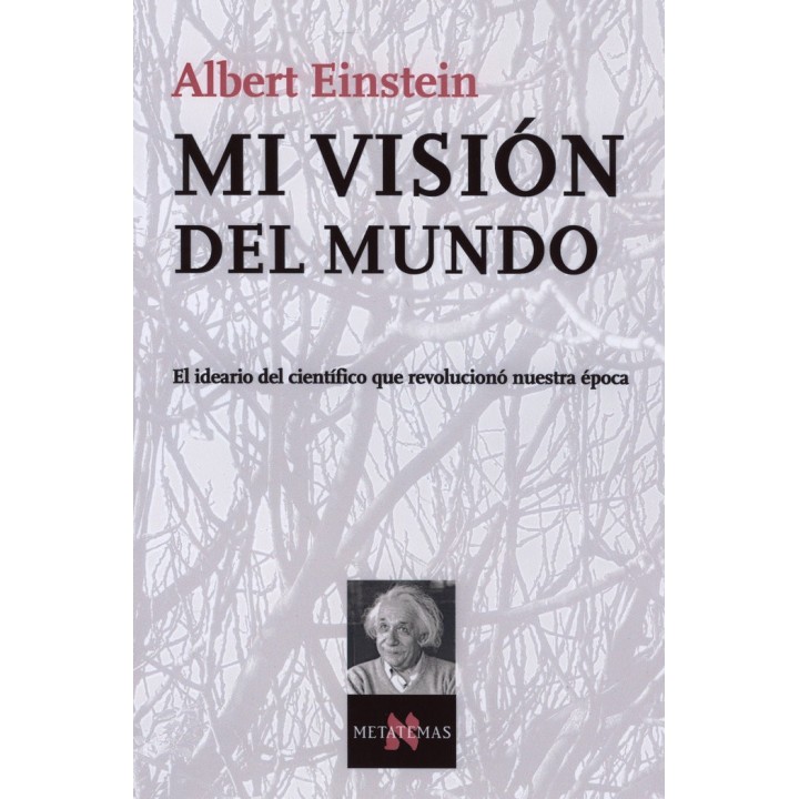 MI VISION DEL MUNDO